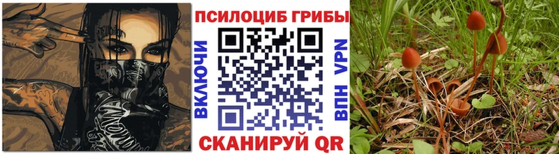 закладки  darknet как зайти  Галлюциногенные грибы Magic Shrooms  Звенигород 
